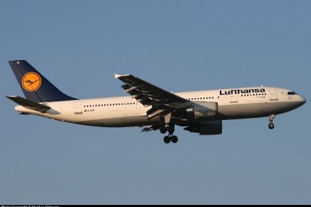 D-AIAT - Lufthansa - Frankfurt Rhein-Main (FRA / EDDF)  Germany - 1387/09/11